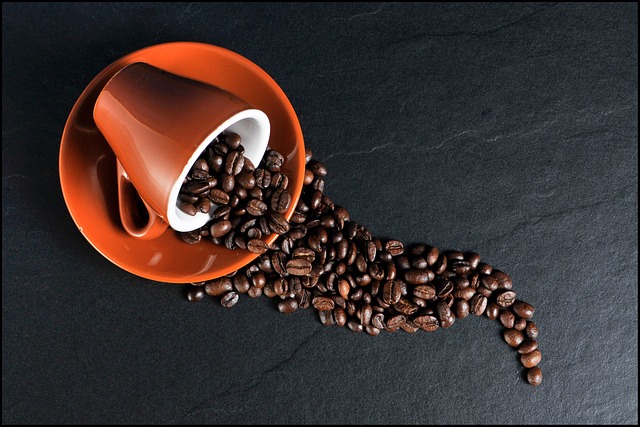 De beste Koffiemachines  met o.a. snel filtering, met bonen, met cups  & koffiebonen,Cafeïnevrij koffiebonen, koffiepads,  koffieboek,