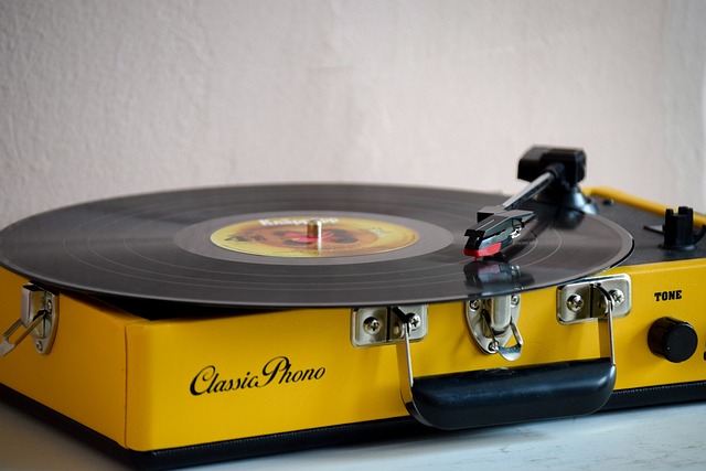 Vinyl Lp’s , Muziek voor de liefhebber en mooie repro draaitafels