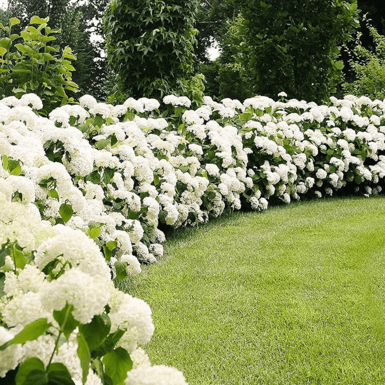 De mooiste buitenplanten